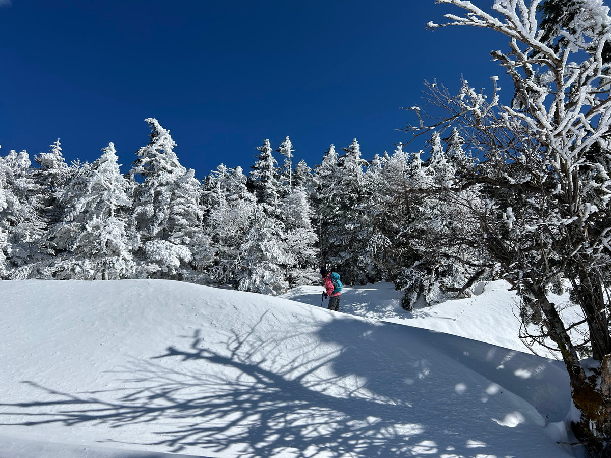 【新宿発・日帰り】雪原ウォーキング！北八ヶ岳・坪庭スノーシュー体験｜ロープウェイで標高2,238mの銀世界へ・初心者も安心の約3km雪山散歩（本格登山装備14点無料レンタル付）