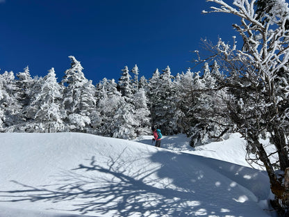 【新宿発・日帰り】雪原ウォーキング！北八ヶ岳・坪庭スノーシュー体験｜ロープウェイで標高2,238mの銀世界へ・初心者も安心の約3km雪山散歩（本格登山装備14点無料レンタル付）