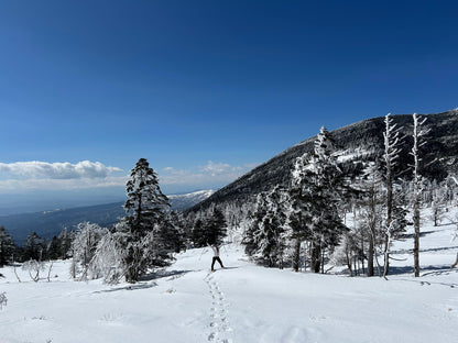 【新宿発・日帰り】雪原ウォーキング！北八ヶ岳・坪庭スノーシュー体験｜ロープウェイで標高2,238mの銀世界へ・初心者も安心の約3km雪山散歩（本格登山装備14点無料レンタル付）