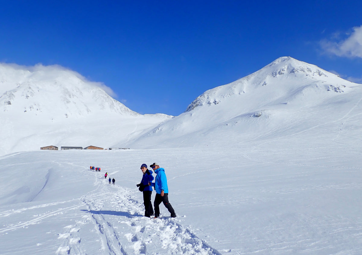 【新宿出发·2天1晚】直达立山黑部阿尔卑斯路线！震撼“雪之大谷”与云端山庄慢调时光·银白度假之旅（免费享14件专业登山装备租借）