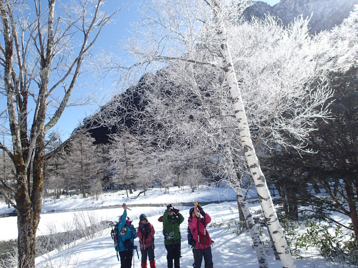 【新宿出发·2天1晚】冬季上高地雪地徒步！探访车辆禁入的静谧银白秘境｜雄伟穗高连峰与大正池绝景（含14件专业雪山装备免费租赁）