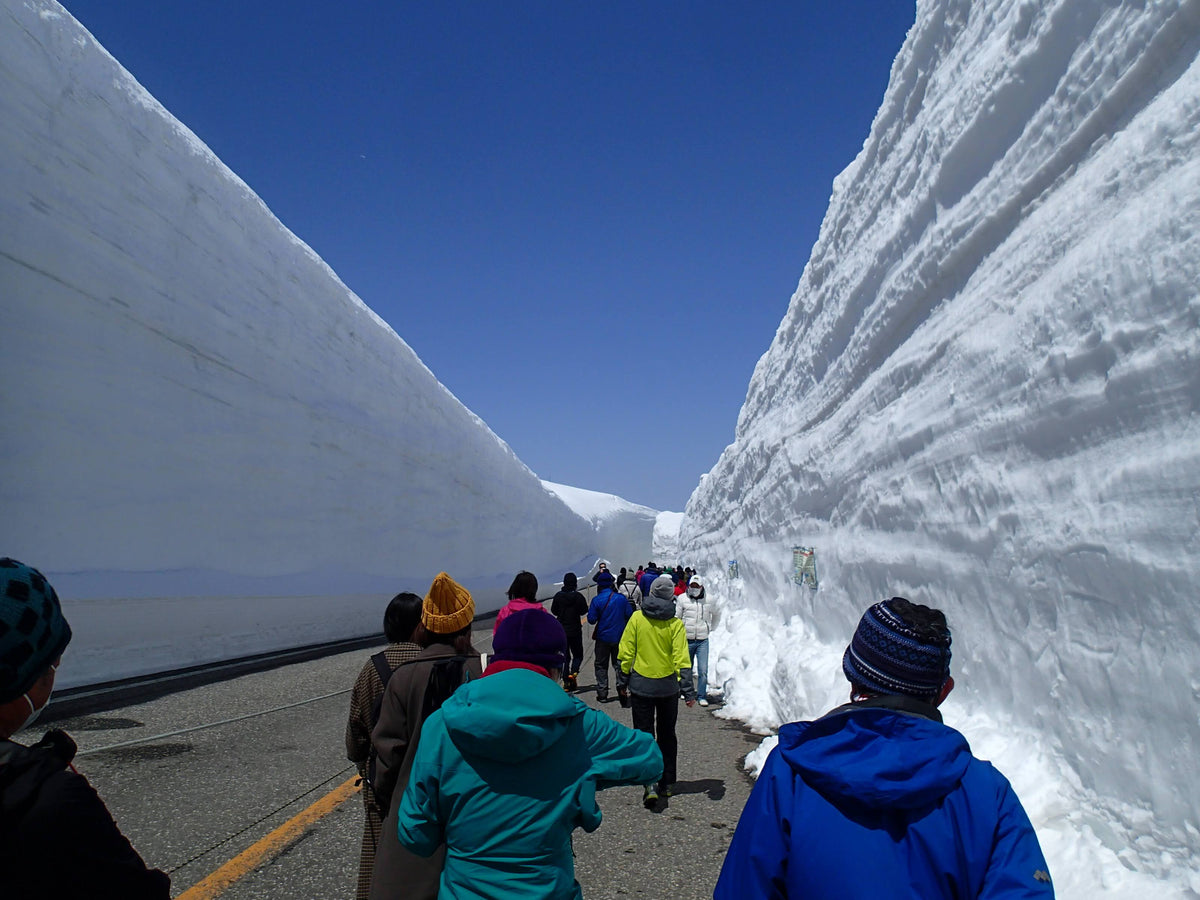 【新宿出发·2天1晚】直达立山黑部阿尔卑斯路线！震撼“雪之大谷”与云端山庄慢调时光·银白度假之旅（免费享14件专业登山装备租借）