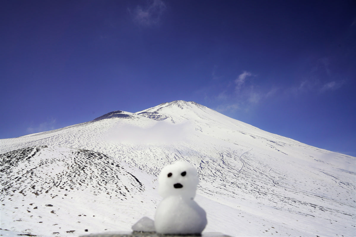 【新宿出發】銀白富士山巍峨聳立眼前！冬季「輕登山・微登富士」絕景健行（含全套專業登山裝備免費租借）